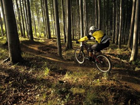Rychleby Trails - SuperFlow trail