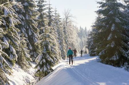 Lyžařské běžecké trasy Nová Ves