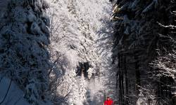 Jesenická lyžařská magistrála část Traťovka - Skřítek